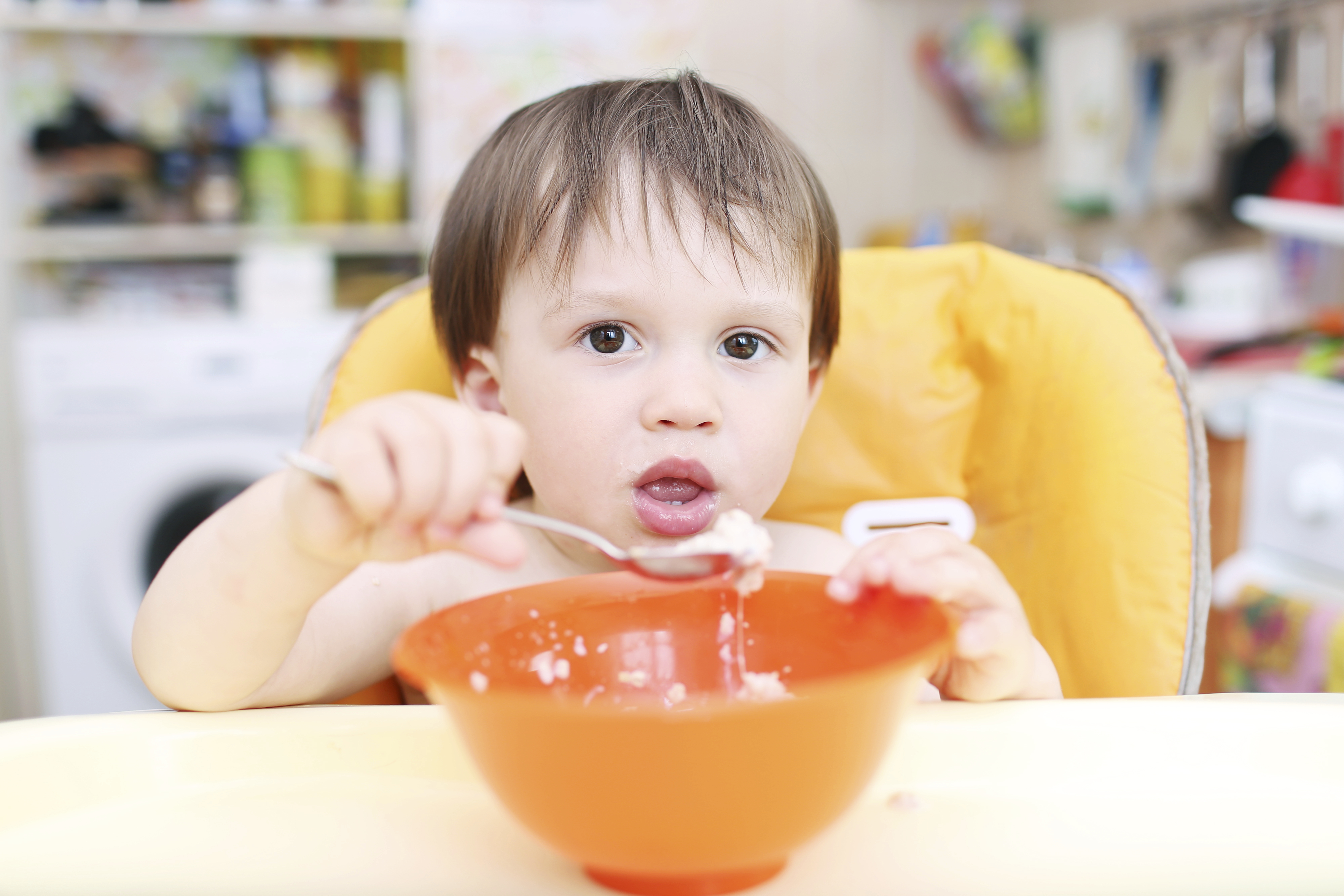 toddler, oatmeal